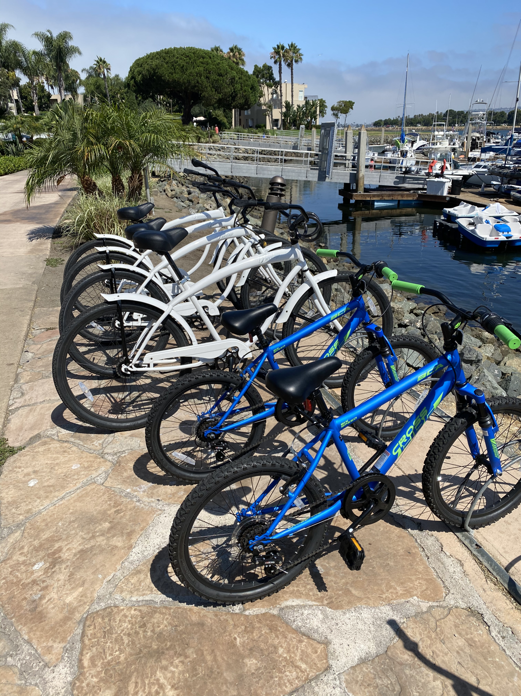 Bicycles in a bike rack